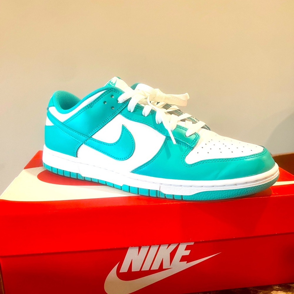 Nike Dunks Teal